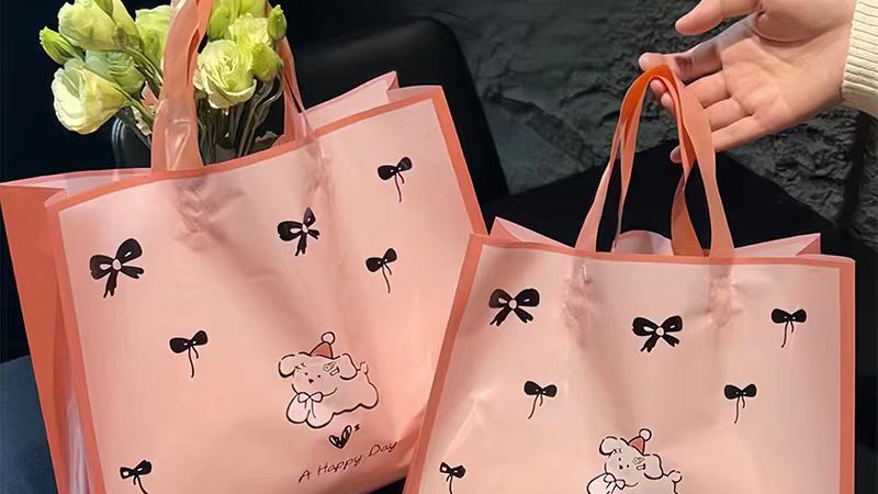 Der Aufstieg wiederverwendbarer Einkaufstaschen